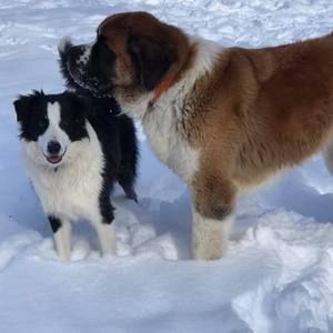 Meet your Posher, Haley